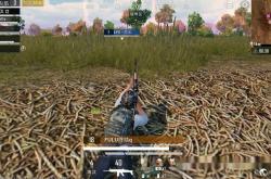 英雄联盟总决赛直播-和平精英选手赛后落泪，背后故事感人