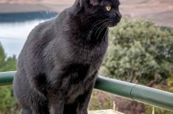 英雄联盟总决赛门票-旧王与新王，当克莱的权杖在萨克拉门托更迭