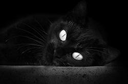 英雄联盟总决赛门票-逆袭寒潮与神射日冕，吉林东方骑士的诞生记