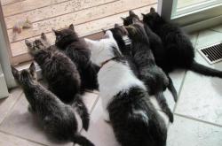 英雄联盟总决赛赛程-唯一挡不住的黄喜灿！日本强行终结摩洛哥的不败金身