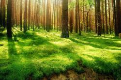 英雄联盟总决赛时间-从巴斯克钢城到美加之巅，萨卡在毕尔巴鄂灵魂照耀下接管世界杯决赛