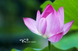 英雄联盟总决赛2025-欧冠篮球诞生记，浙江队跨洲斩落骑士，半决赛上演东方奇迹