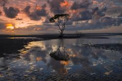 英雄联盟总决赛-夜晚的双重奏，德甲巅峰对决与库里评分拉满