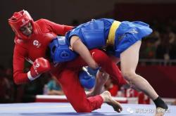 LOL决赛-老挝队全力一搏，取得惊人胜利的简单介绍