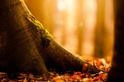 -姆巴佩的奇异使命，带领德国队击败多特蒙德的夜晚