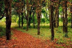 LOL赛事-欧冠半决赛之夜，姆巴佩关键节点连击，谱写王者传奇