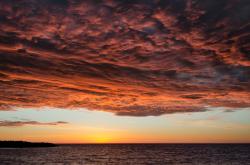 -一球定乾坤，世界排名争夺战之夜，哈利伯顿关键进球定江山