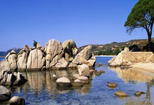 英雄联盟总决赛门票-神话对现实的裁决，凯恩如神罚降世，希腊以秩序稳稳终结苏格兰幻想