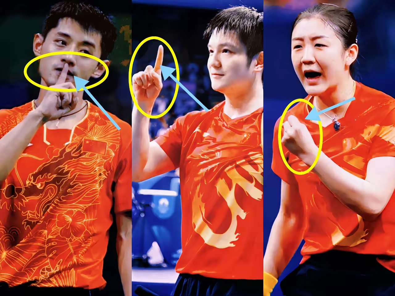 瑞典队力克波兰队，张继科点燃赛场