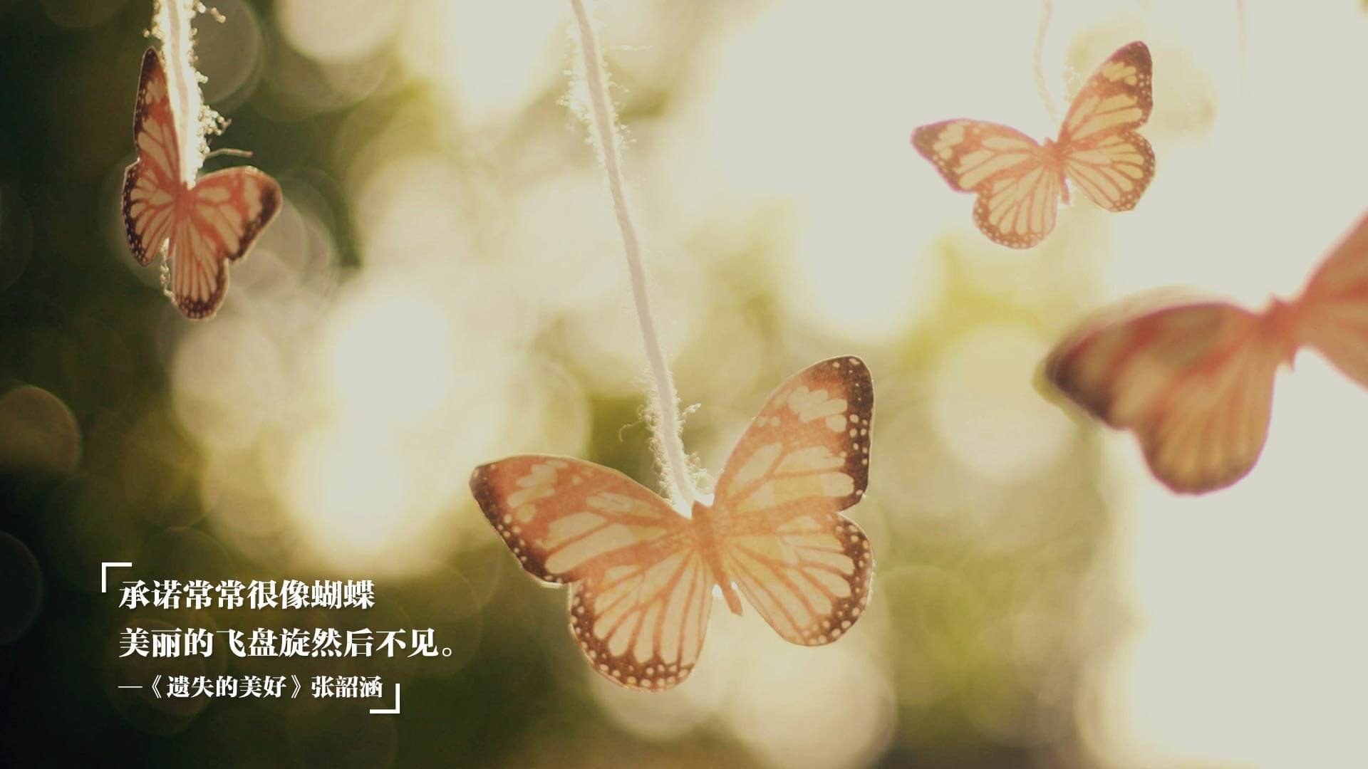 引擎的怒吼与沉默的答案，F1街道赛之夜，武切维奇用实力证明自己