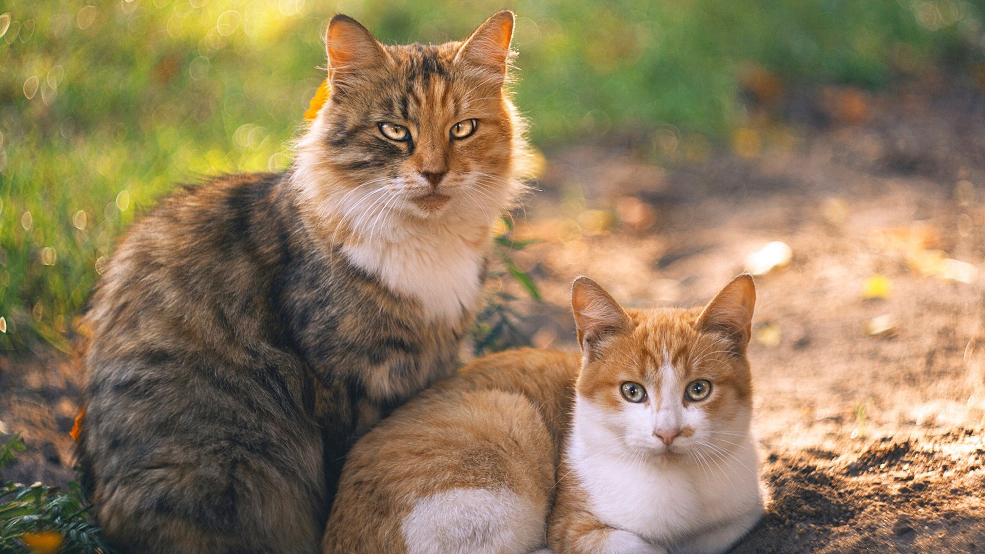 东西方新图腾，锡安峡谷里的双重奇迹