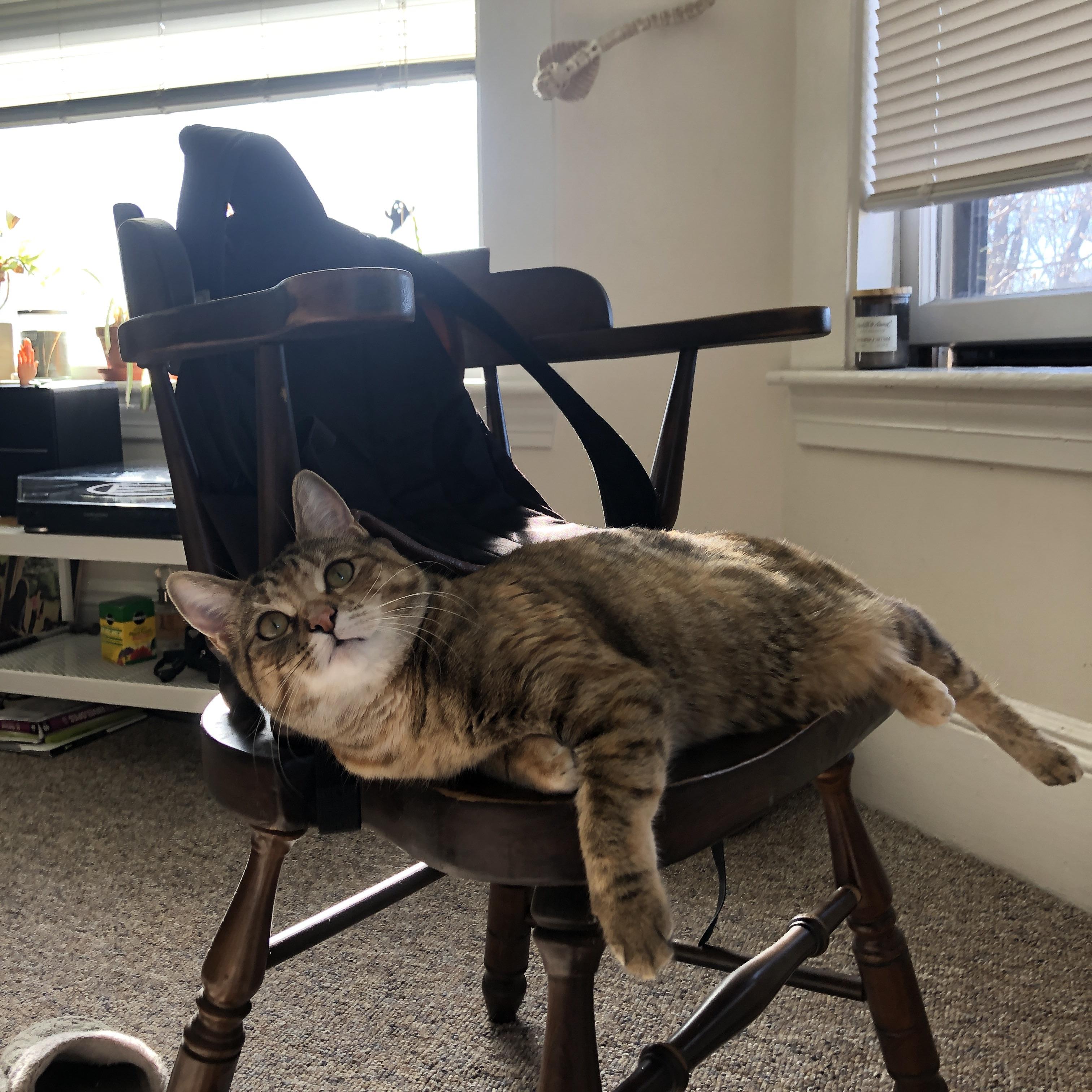 跨界时空，当克利夫兰骑士队闯入2026世界杯预选赛