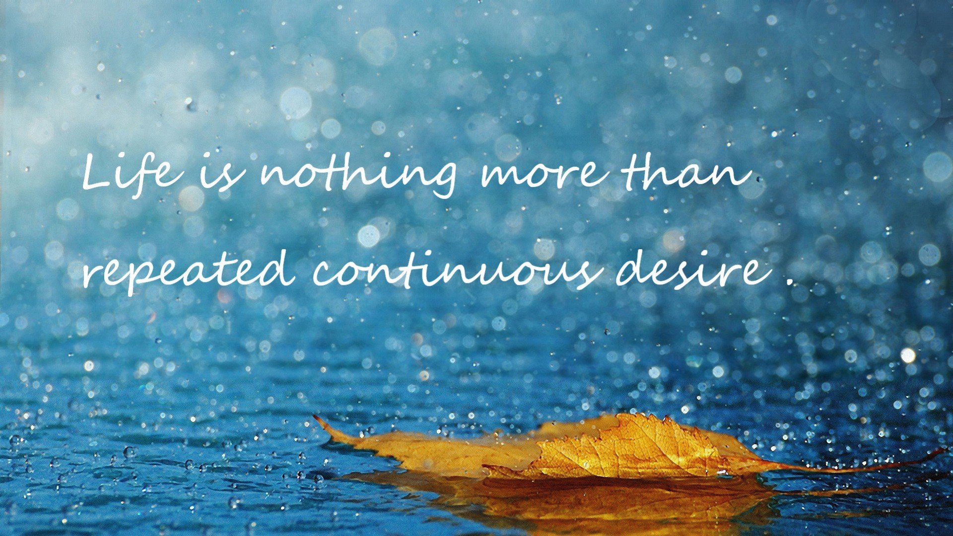 英超争冠焦点战，浙江队正面击溃魔术的战术启示