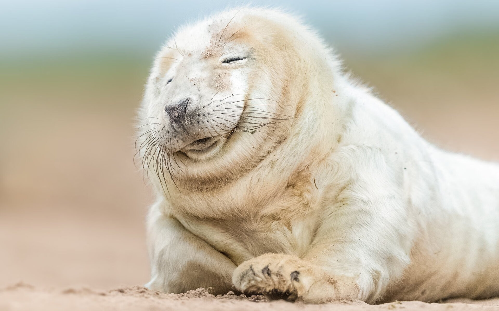 黄蜂的精密进攻与浓眉的绝对领域，篮球艺术的两种极致