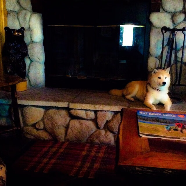 球场如战场，土耳其总决赛级防守稳稳锁死英格兰三分雨