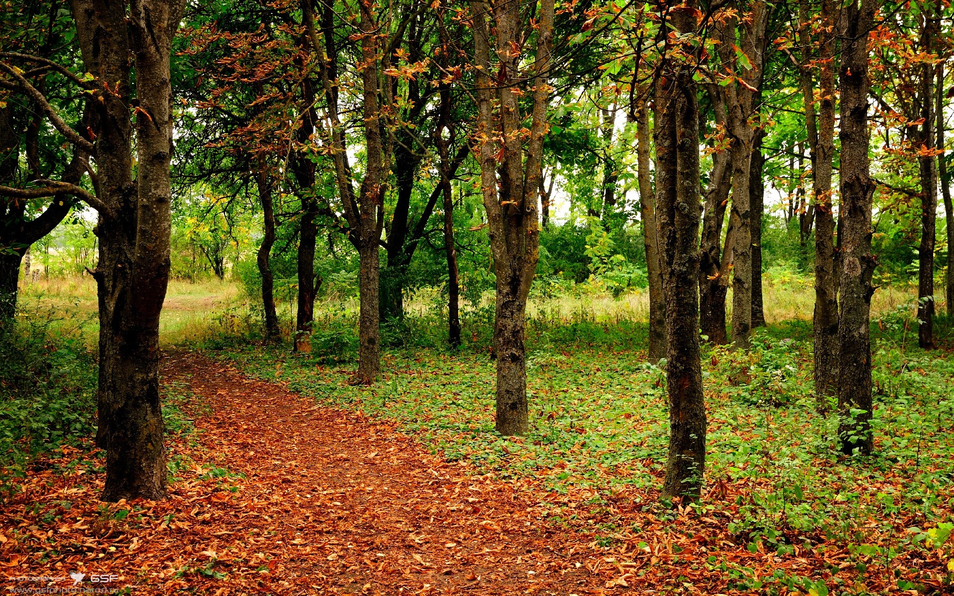 欧冠半决赛之夜，姆巴佩关键节点连击，谱写王者传奇