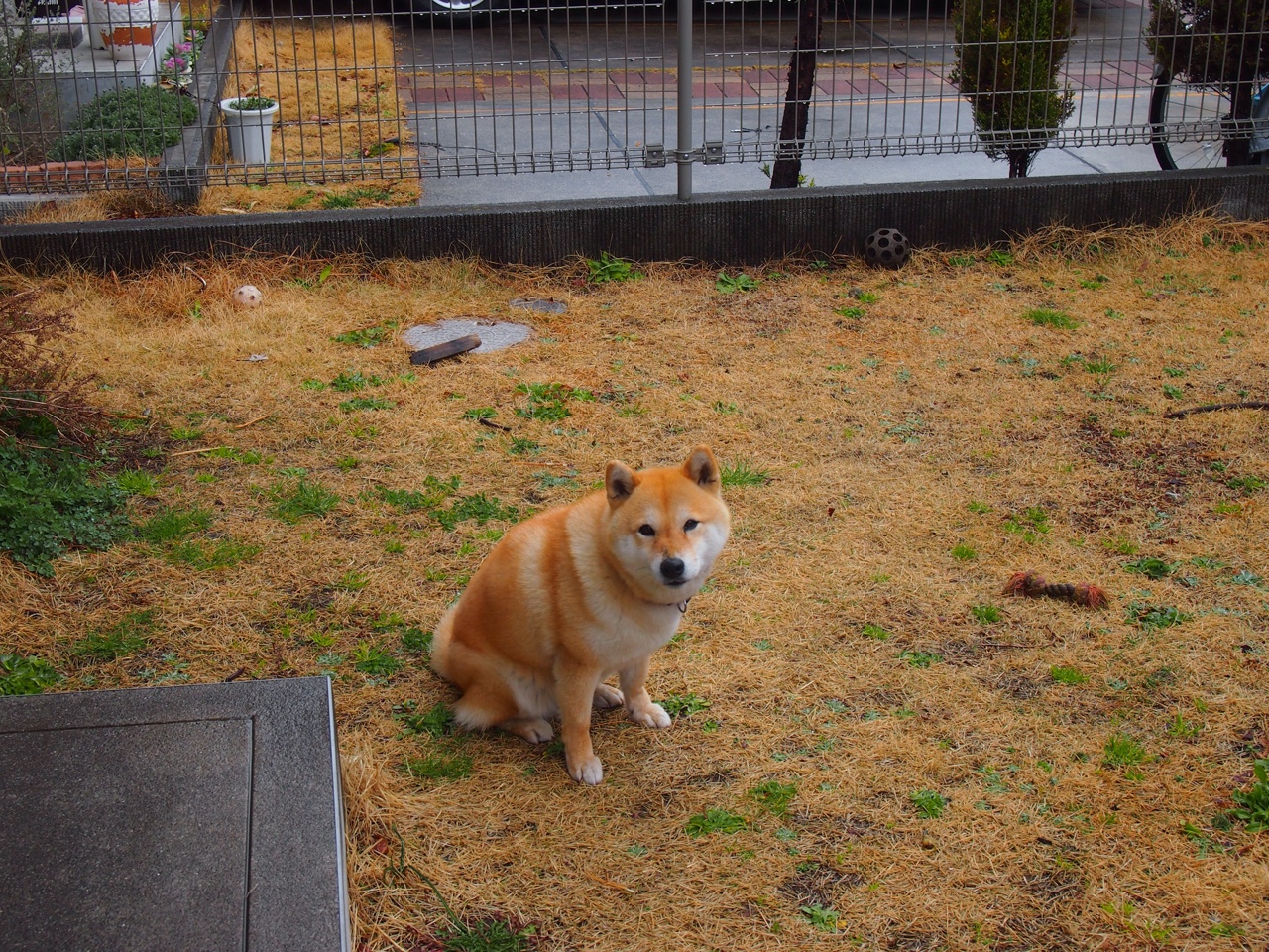 铁腰觉醒破旧序，北欧风暴昭新章—当卡塞米罗的怒吼响彻奥斯陆之夜