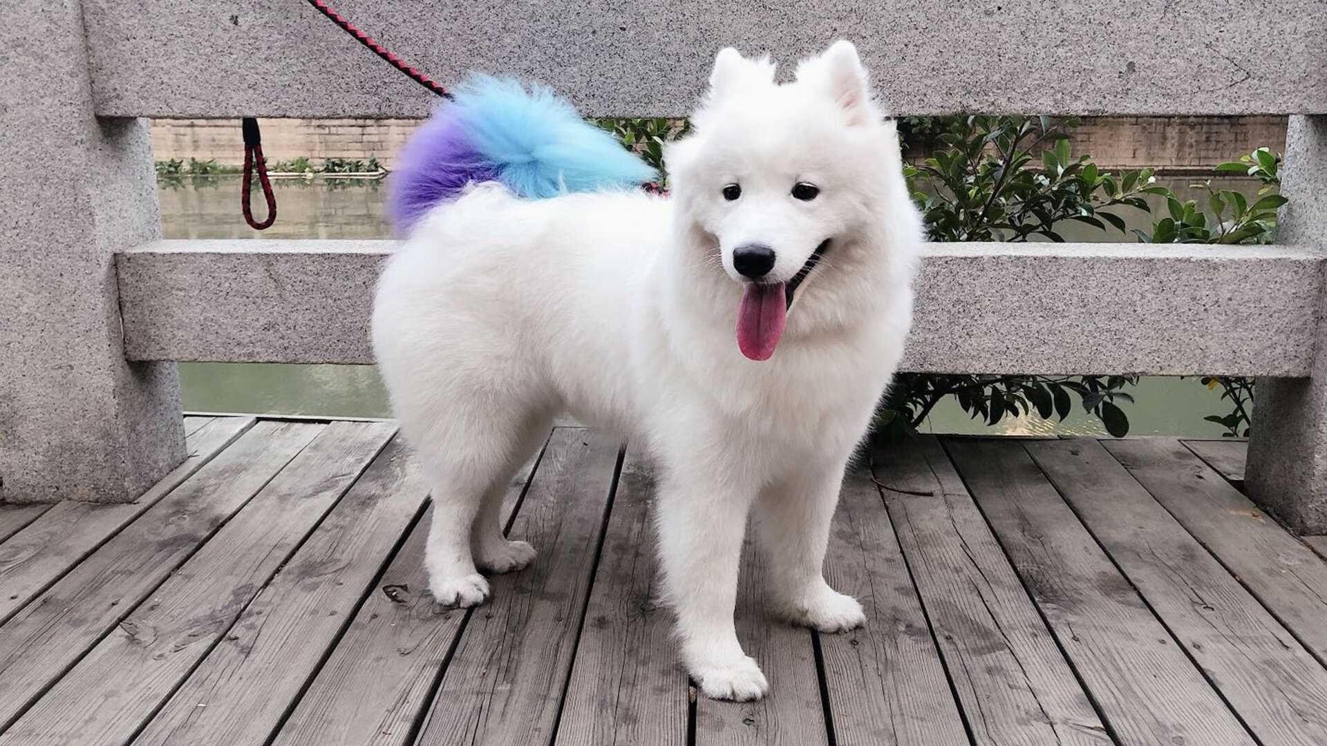 哨响前的刹那，当足球遇上篮球的永恒悬念