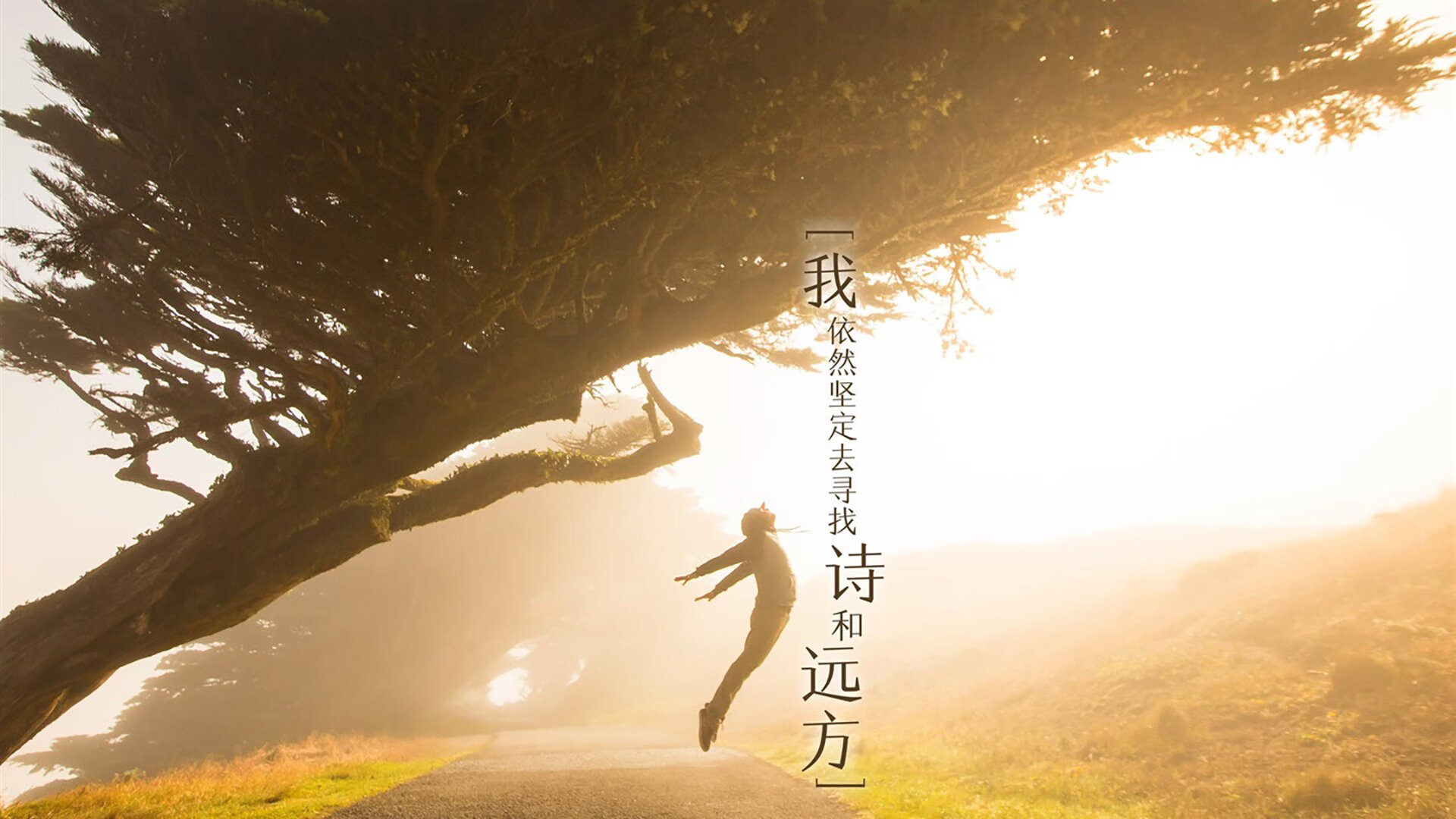 蓝武士闪电撕裂高原铁壁，仙人掌王银瓶乍破终结悬念