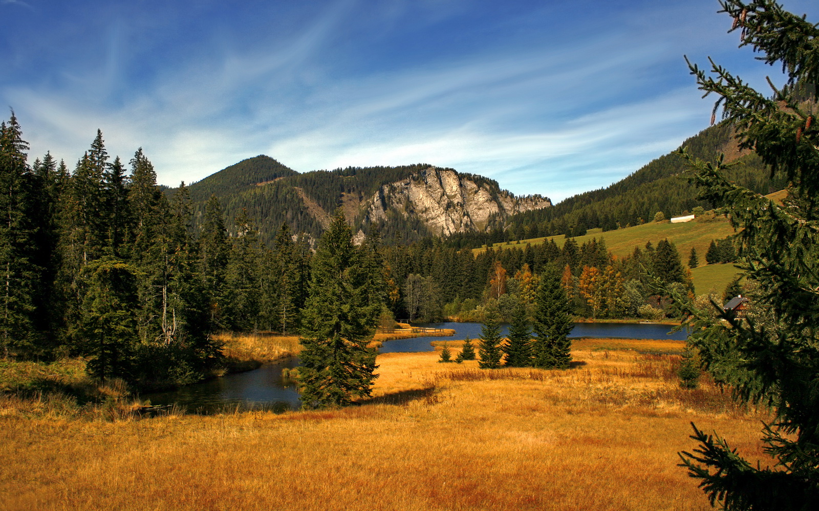 错位的华尔兹，当文班亚马的巨翼遮蔽了整座球场