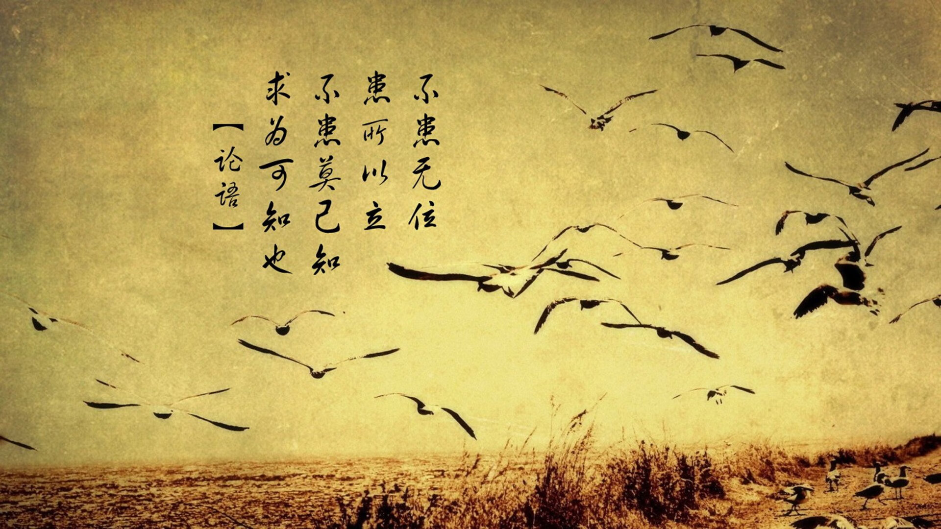 绿茵场上的一波流，2026世界杯那场令人窒息的带走之战