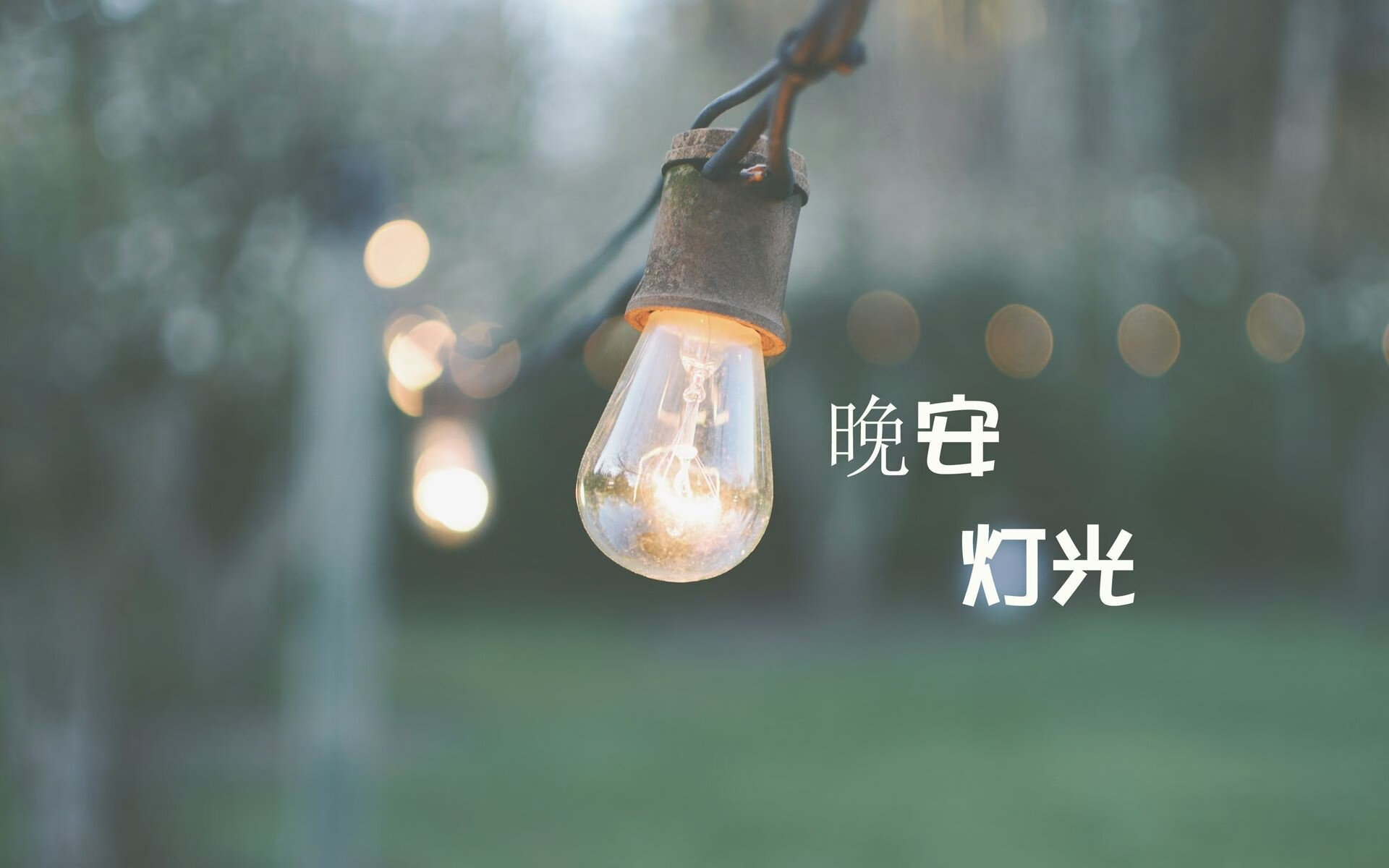 红与白的绝唱，加维在勒沃库森对阵土耳其的友谊赛中，用一记弧线球提前写下结局