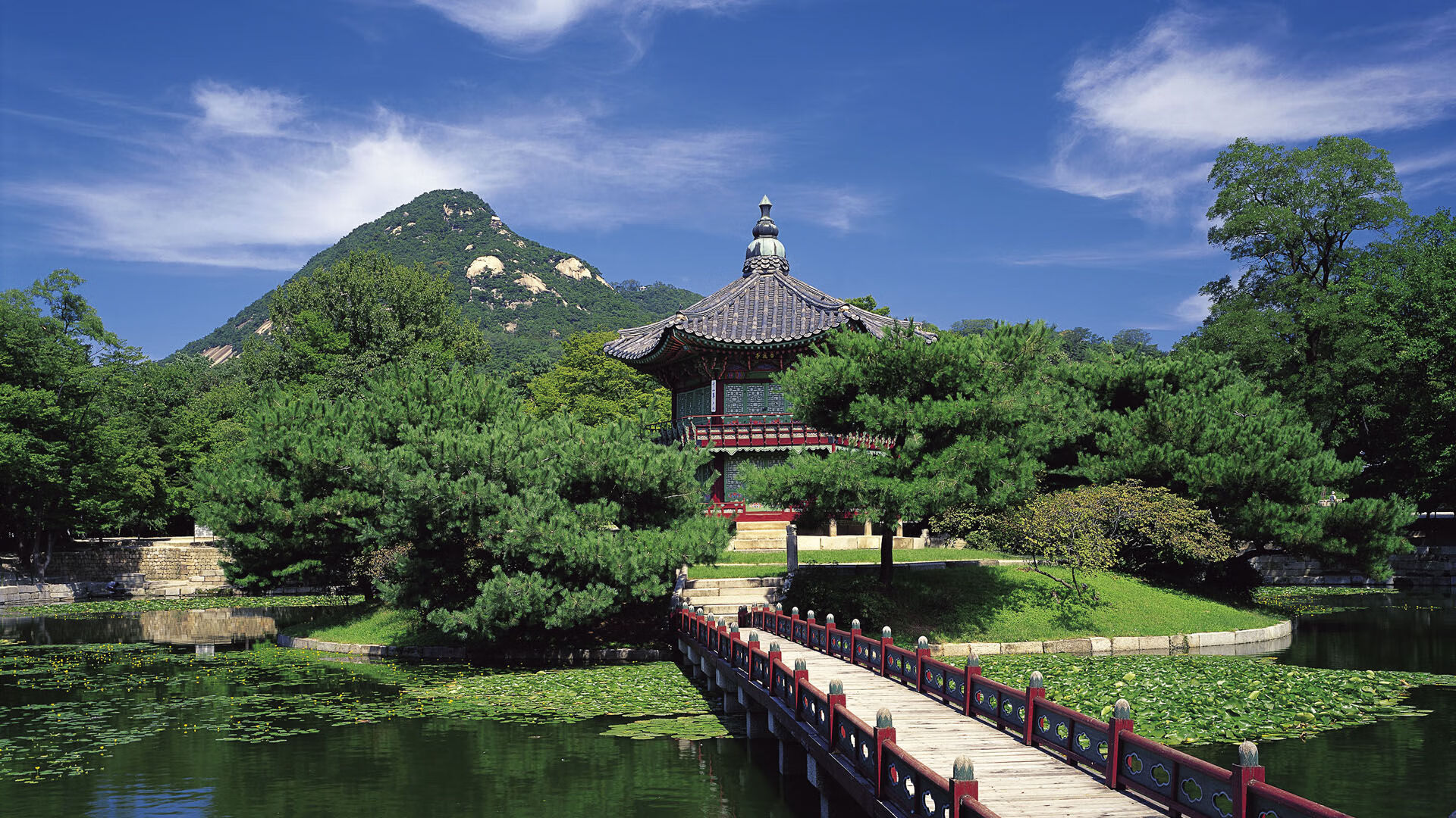 蓝衣悲歌与黄金血统，2026世界杯H组的碾压之夜，卢卡库一击定乾坤