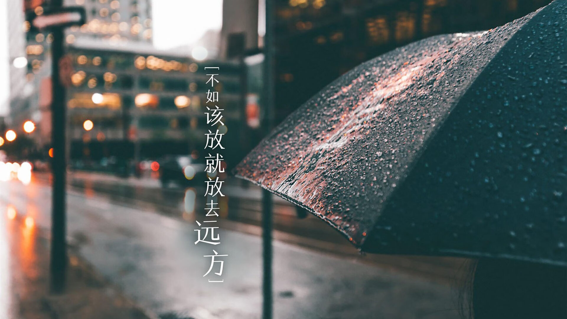 蓝白风暴中的孤勇者,布罗佐维奇用控球书写D组唯一剧本,哥斯达黎加压垮阿联酋