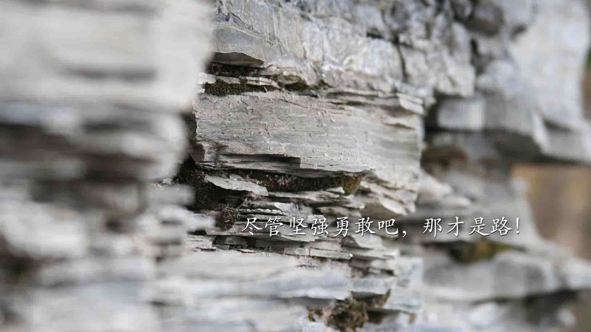 边路之王的独舞,坎塞洛如何用控球权撕碎2026世界杯D组的秩序