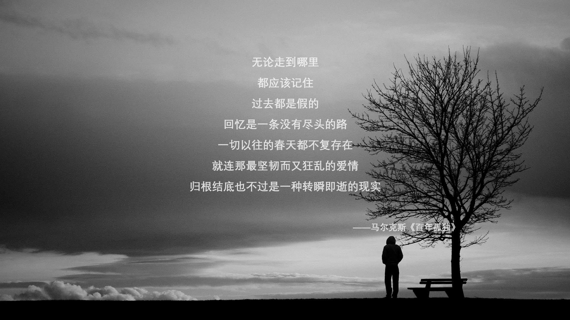 2026生死夜,法国铁蹄踏越南,孙兴慜刺穿黑夜的致命一击