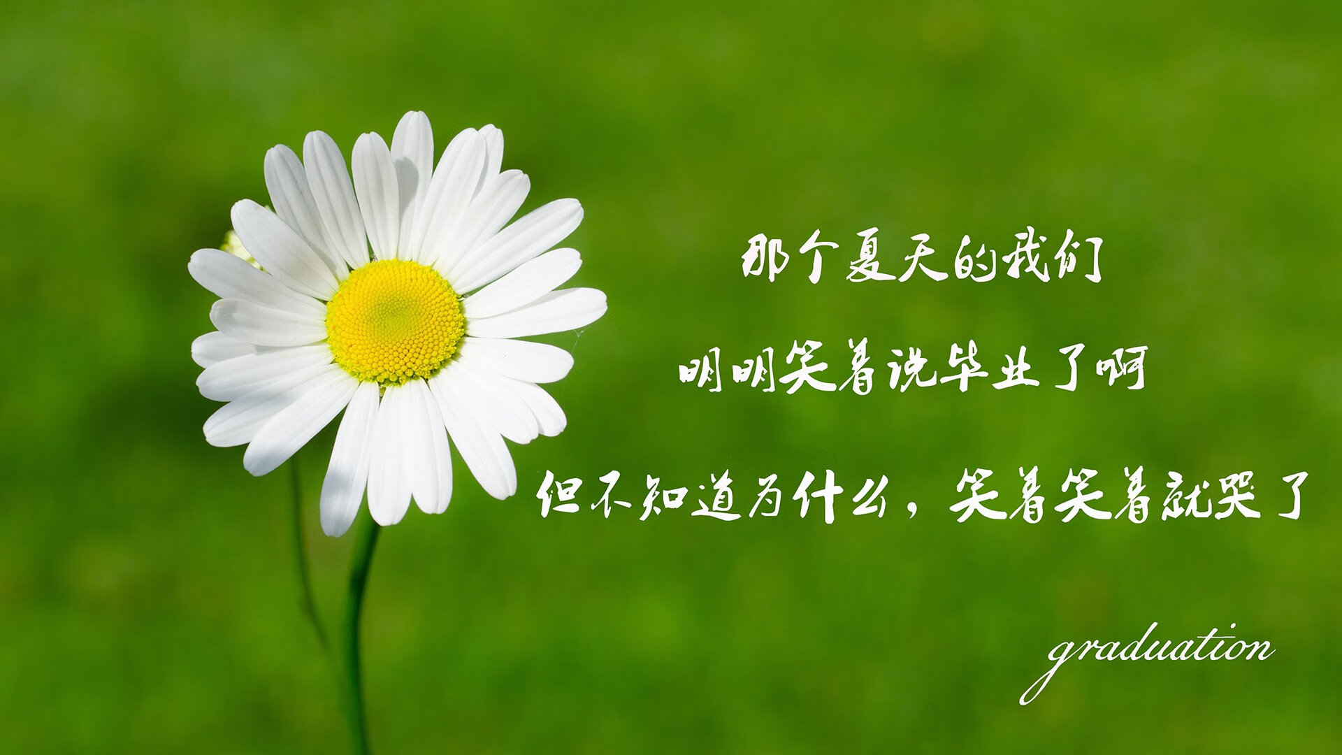一秒钟的永恒，2026世界杯H组，当替补奇兵改写葡萄牙的宿命